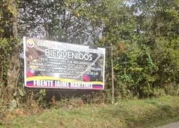 Presencia de grupos armados en seis municipios del Tolima genera preocupación