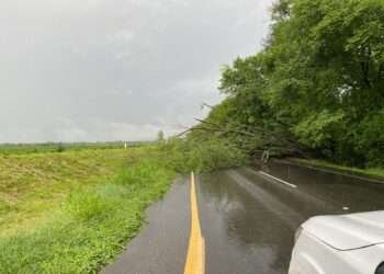 Fuertes lluvias generan cierres viales en el Tolima.