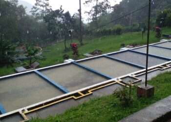 IBAL restablece captación de agua del río Combeima tras más de 24 horas de suspensión