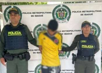 Capturado hombre por violento hurto a mujer en el barrio Jardín, Ibagué
