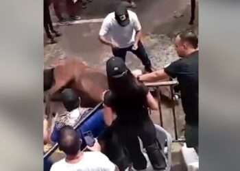 Indignación por Maltrato de Caballos en las Fiestas de Neiva