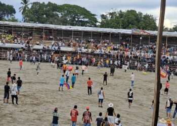 Investigado Alcalde de Guamo, Tolima, por Irregularidades en Construcción de Plaza de Toros