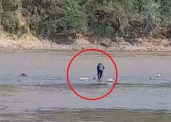 Hallan cuerpo desmembrado de una mujer en el río Magdalena, Coello – Tolima