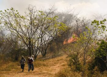 Alerta roja en 19 municipios del Tolima por temperaturas extremas