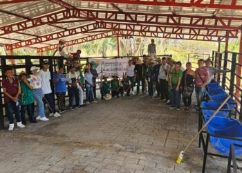 ANT entregó a resguardos de Ortega insumos para la ganadería