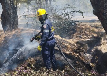 Cuerpo de Bomberos de Ibagué enfrenta casi 500 incendios forestales en 2024