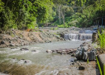Disminuye el caudal de las fuentes que abastecen de agua a Ibagué, alerta el Ibal