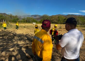 Incendio en Natagaima, Tolima, es controlado tras 19 días de labores ininterrumpidas