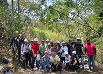 Apicultores de Ibagué se certifican en trabajo seguro en alturas