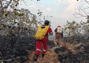 13 incendios forestales en Tolima: operativos aéreos y terrestres se intensifican
