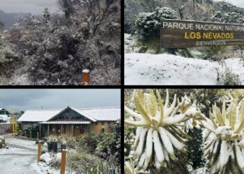 Impresionante nevada sorprende a funcionarios del Parque Nacional Natural Los Nevados