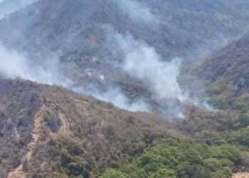 Lluvias alivian crisis de incendios en Tolima