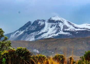 Audiencia en Ibagué por compra de terrenos en Parque Nacional Los Nevados al Gobierno Petro 