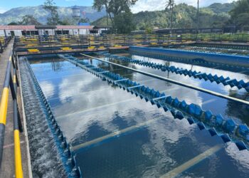 IBAL restablece captación de agua en bocatomas Combeima, Cay y Chembe tras cierre por lluvias