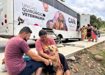 La Unidad Quirúrgica Veterinaria de la Alcaldía regresa para jornadas de bienestar animal en Ibagué