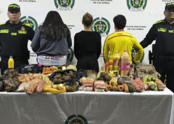Capturan a tres personas por robar alimentos del PAE en colegio de Ibagué