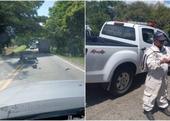 Ataque de abejas desata pƔnico y deja varios heridos en hospital de LƩrida
