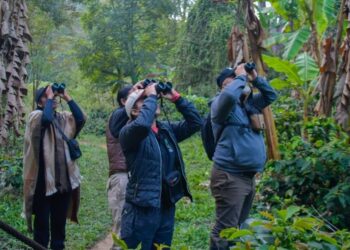 El Festival de Aves del Tolima llega a su novena edición con actividades para promover el aviturismo