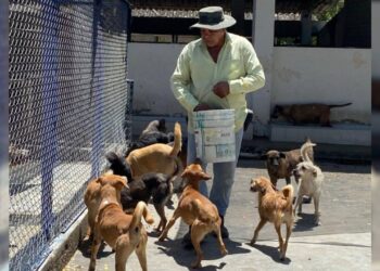 Preocupación por la falta de recursos para el funcionamiento del Centro de Atención Animal en Ibagué