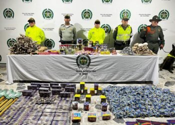 Incautan 193 kilos de pólvora en Ibagué