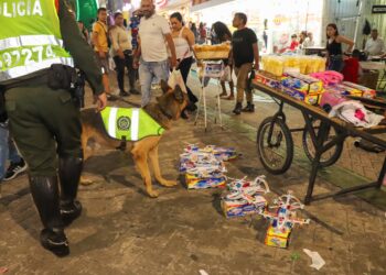 Más de 10 kilos de pólvora incautados en operativo conjunto en el Centro de Ibagué