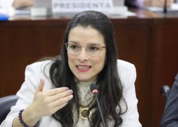 Reforma a la Salud avanza en el Congreso: 23 artículos aprobados