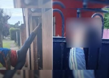 En un intento de entrar a robar, experimentó dolorosamente su primera chamba