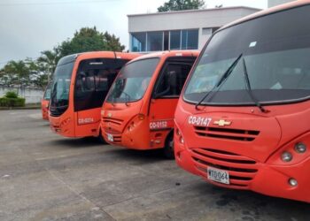 Conductores y propietarios de buses en IbaguƩ anuncian paro por incumplimientos del SETP