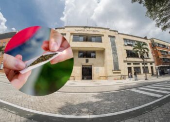 Mesa Cannábica de Ibagué exigen cambios en políticas locales sobre consumo de sustancias en Ibagué