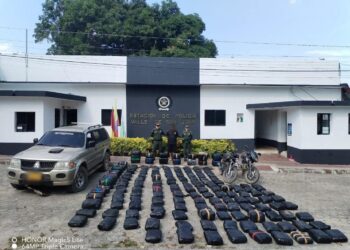 Cae el cargamento de marihuana más grande del 2025 en el Tolima