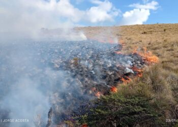 Incendio forestal consume 20 hectáreas en la Reserva El Toro en Murillo
