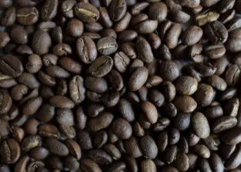 Precio del café en Colombia alcanza un récord histórico tras superar crisis con EE. UU.