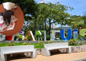 Denuncian negligencia en San Luis, Tolima, por piques ilegales que ponen en riesgo a la comunidad