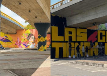 Gremios del Tolima rechazan intervenciones no autorizadas en los murales de la calle 83