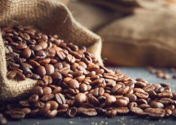 Café colombiano alcanza precio récord en Wall Street impulsado por escasez global