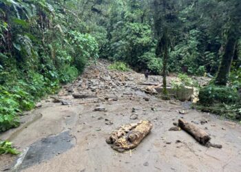 Deslizamientos en Herveo y Casabianca afectan movilidad y ponen en alerta a comunidades