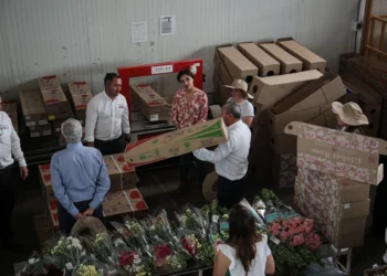 Colombia rompe récord de exportación de flores para San Valentín
