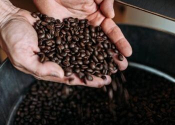 Precio del café alcanza récords históricos: se cotiza en US$3,83 por libra