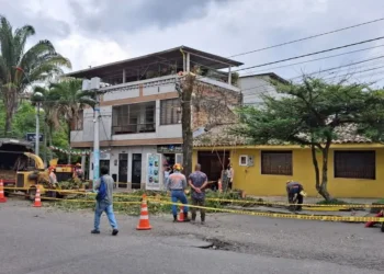 Denuncian tala de Ɣrboles en el centro de IbaguƩ por parte de Celsia, comunidad exige explicaciones