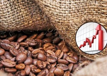 Producción de café en Colombia creció más del 40% en enero de 2025