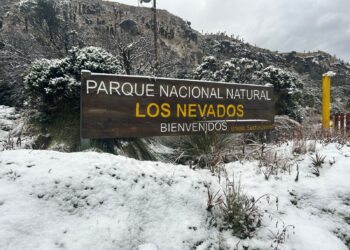 Tribunal de Ibagué investiga desacato ambiental en el Parque de Los Nevados