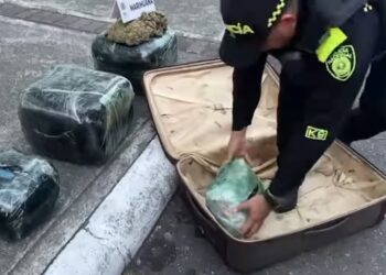 Perro antinarcóticos incauta 35 kilos de marihuana en la Terminal de Ibagué