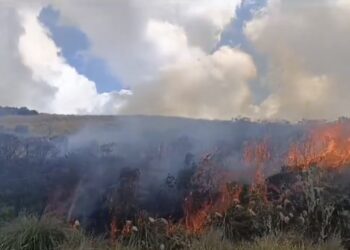 Tolima en alerta por deslizamientos e incendios forestales