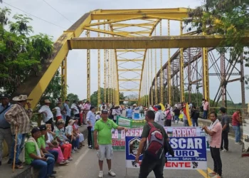 Paro arrocero en Tolima: bloqueos en LƩrida, SaldaƱa y El Espinal ahora son permanentes