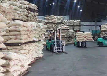 Producción de café en Colombia alcanza su nivel más alto en 29 años