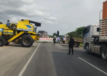 Bloqueos por paro arrocero en Tolima afectan principales vías del departamento