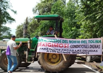 Paro arrocero en suspenso: productores evalúan propuesta del Gobierno