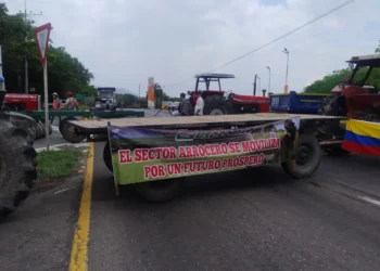 Bloqueos en Tolima: habilitan vías, pero gremio arrocero anuncia nuevos cierres