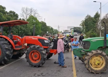 Crisis arrocera en Colombia: TLC e importaciones descontroladas ponen en jaque a los productores