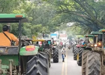 Arroceros del Tolima exigen cumplimiento de acuerdos para salvar el sector
